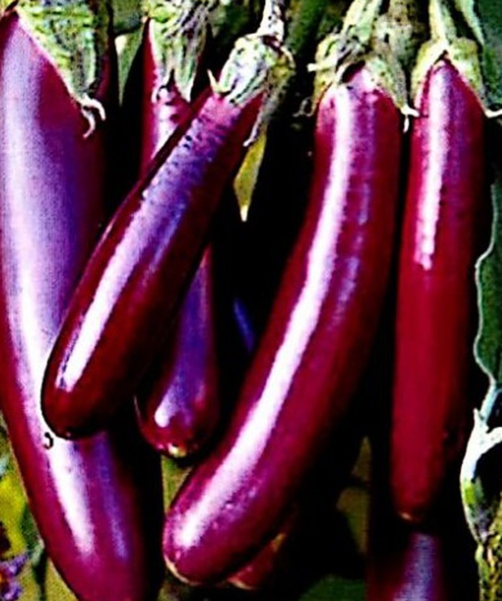 Vegetables