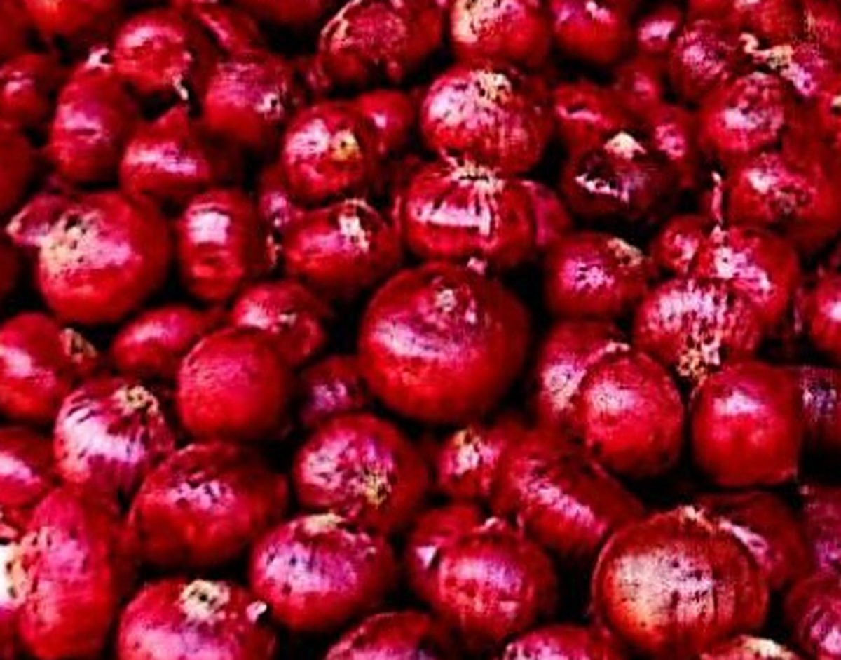 Onion
