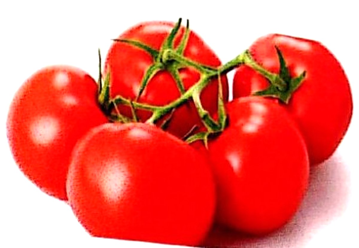 Tomato